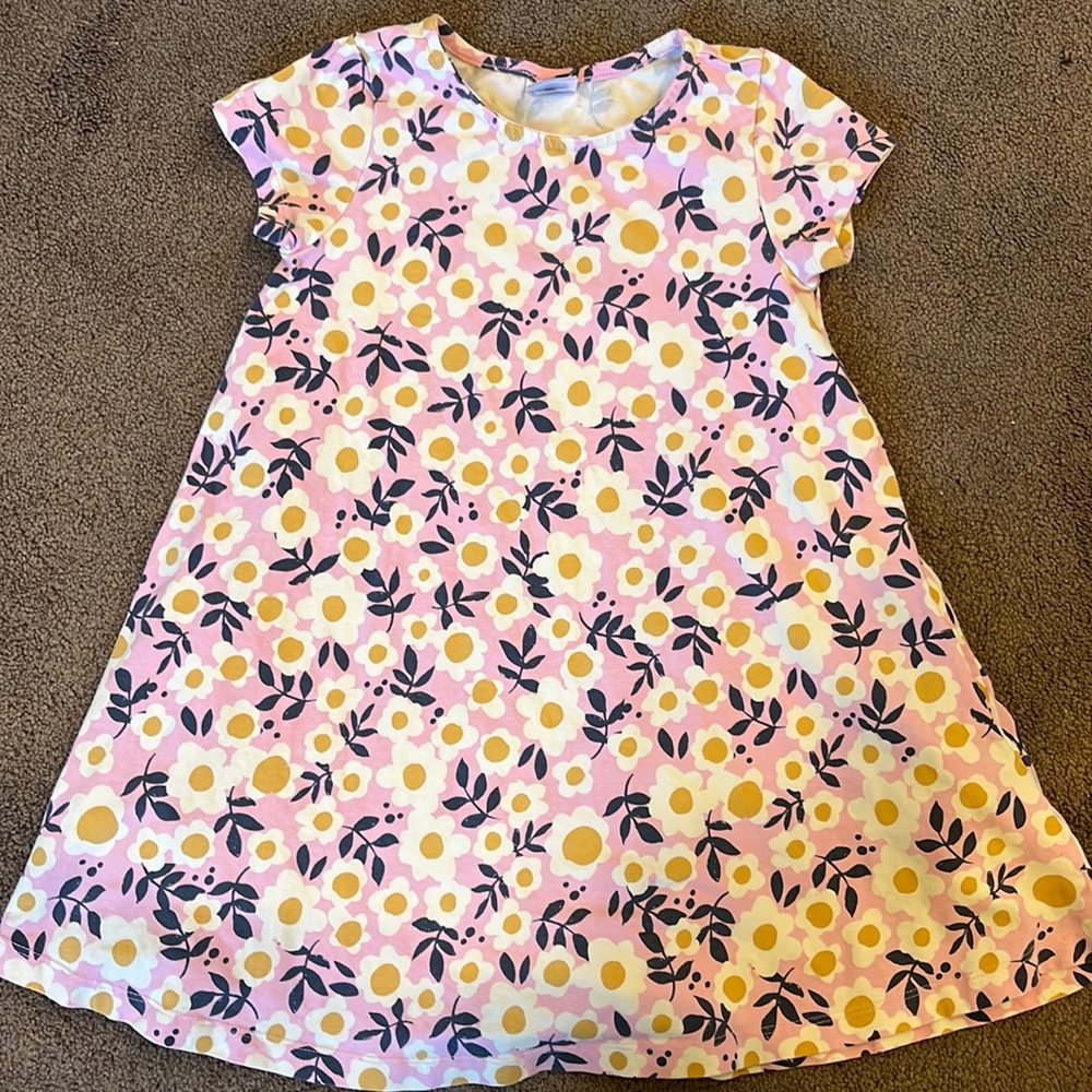 Hanna Andersson skater dress